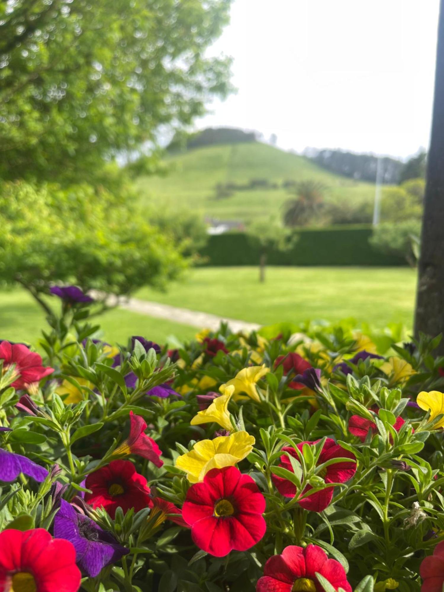 Villa La Solana De Mogro Esterno foto